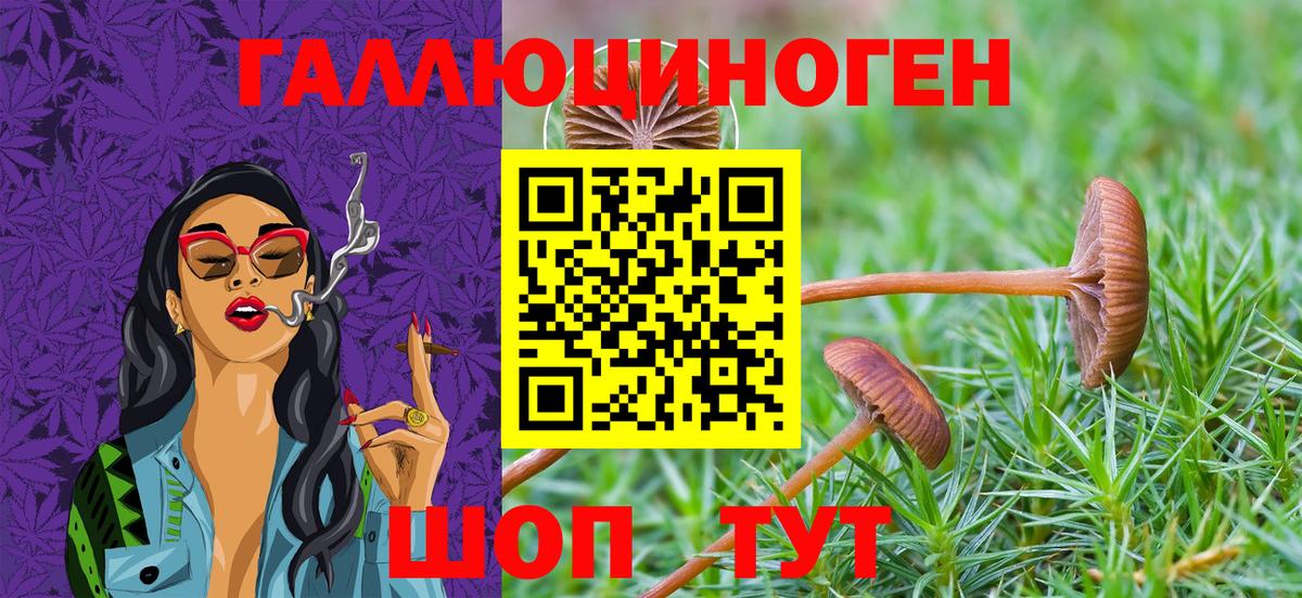 Галлюциногенные грибы прущие грибы  Псилоцибиновые грибы Psilocybine cubensis  Сокол  Вход с VPN 